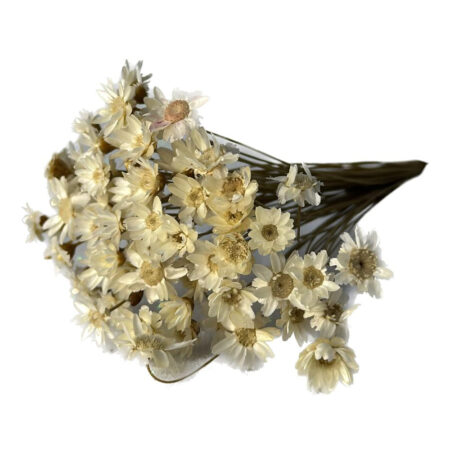 Mini Buque Flor para Decoração
