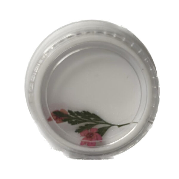 Flor Desidratada Encapsular Avulsa - Imagem 4