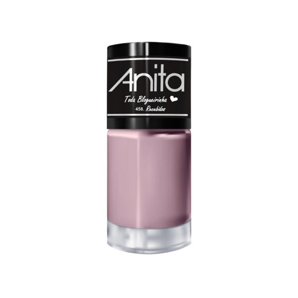 Esmalte Anita Toda Blogueirinha Recebidos 10ml