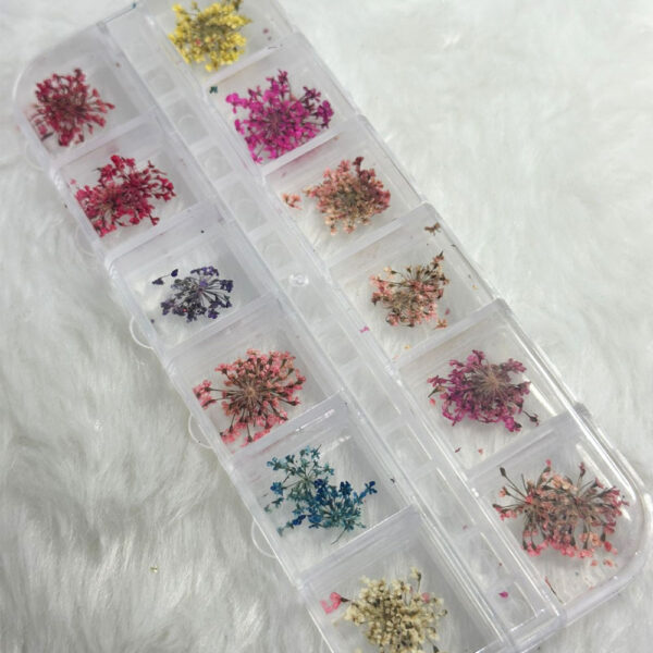 Kit Flor Desidratada 12 unidades - Imagem 2