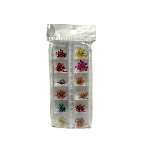 Kit Flor Desidratada 12 unidades