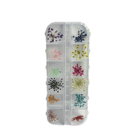 Flor Desidratada Nails Beauty 12 unidades
