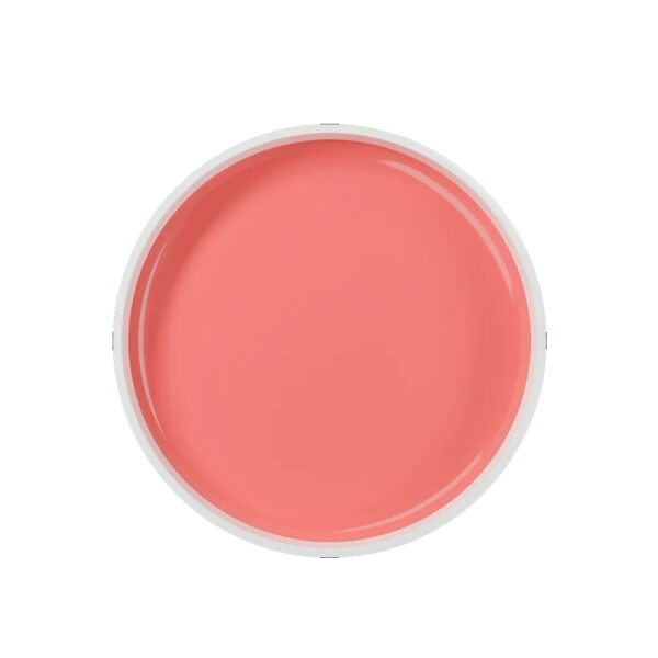 Gel AnyLovy Nude 24g - Imagem 2