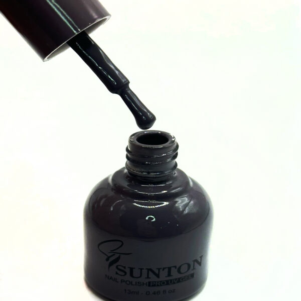 Esmalte em Gel Sunton Redondo 13ml 077