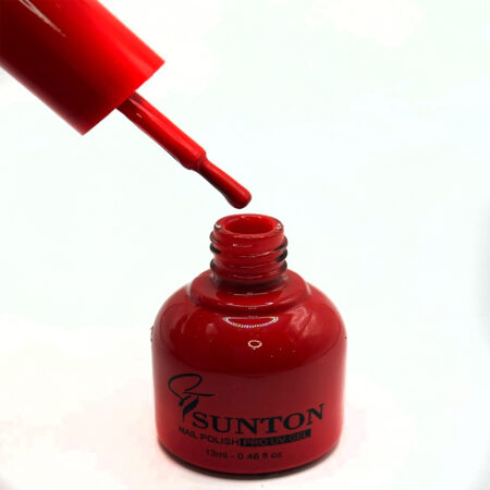 Esmalte em Gel Sunton Redondo 13ml 042