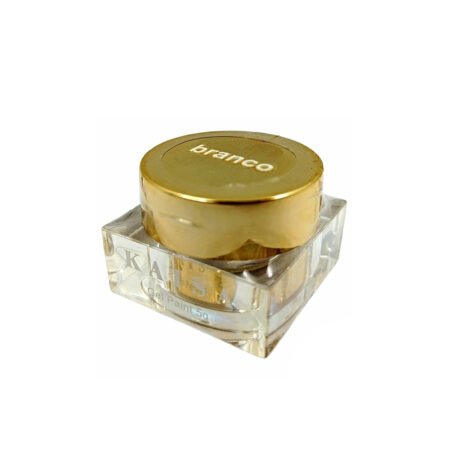 Gel Painting Kaisa Branco 5g